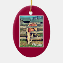 グラムの豪華版のオーナメント