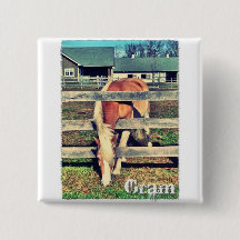 グラムの豪華版の正方形ボタン