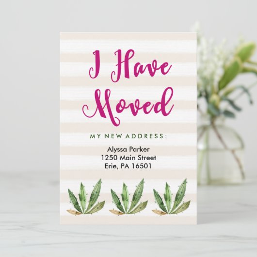 グラムサボテン |住所ストライプの変更の砂漠 案内状 (スタンド正面)