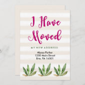 グラムサボテン |住所ストライプの変更の砂漠 案内状 (正面/裏面)