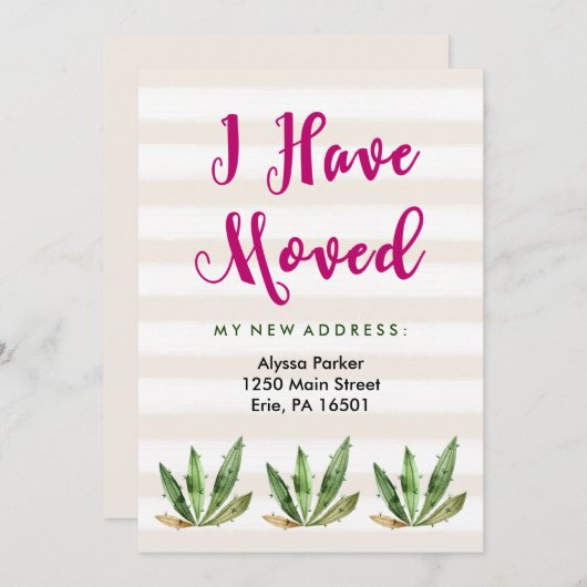 グラムサボテン |住所ストライプの変更の砂漠 案内状 (正面/裏面)