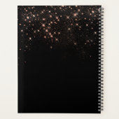 グラムバラ金ゴールドグリッターきらめくモノグラエレガントム プランナー手帳 (裏面)