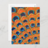 グラムボホオレンジブルーピーコックフェザー シーズンポストカード (正面/裏面)