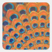 グラムボホオレンジブルーピーコックフェザー スクエアシール (正面)