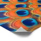 グラムボホオレンジブルーピーコックフェザー ポスター (角)