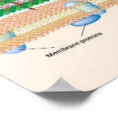 グラム前向き細菌細胞壁ポスター ポスター (角)