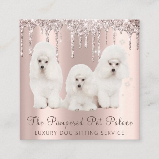 グラム金ゴールドバラグリッタードリップスプードルペットシッター スクエア名刺 (正面)