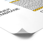 グラム陰性菌細胞壁の図 ポスター (角)