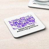 グラム陽性の炭疽菌(細菌) コースター (左側)