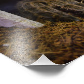 グラモストラロシー フォトプリント            (角)