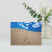 グランカナリアのダネス ポストカード (スタンド正面)