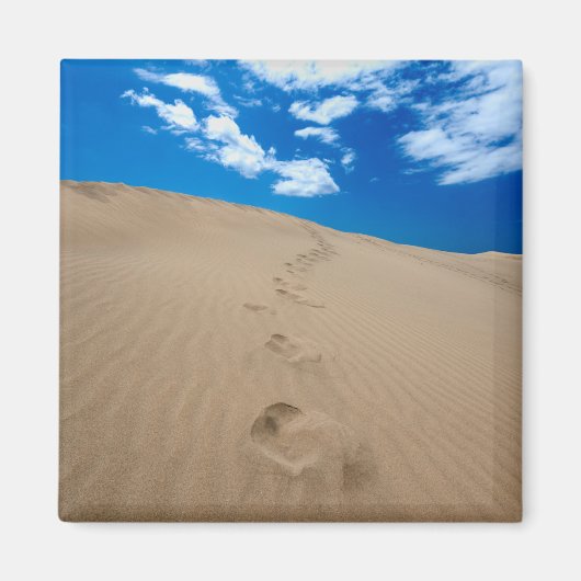 グランカナリア砂漠 マグネット (正面)