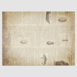 グランジでフランスのな辞書のページ 薄葉紙