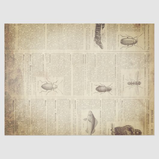 グランジでフランスのな辞書のページ 薄葉紙 (正面)