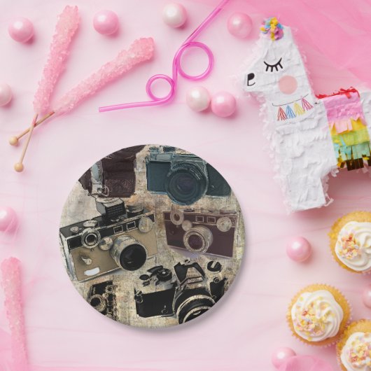 グランジなカメラマンの写真撮影のヴィンテージのカメラ ペーパープレート (パーティー)