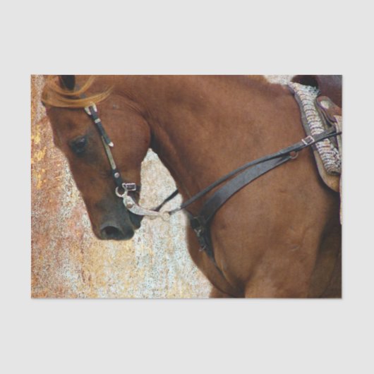 グランジなスイバの西部の馬 薄葉紙 (正面)