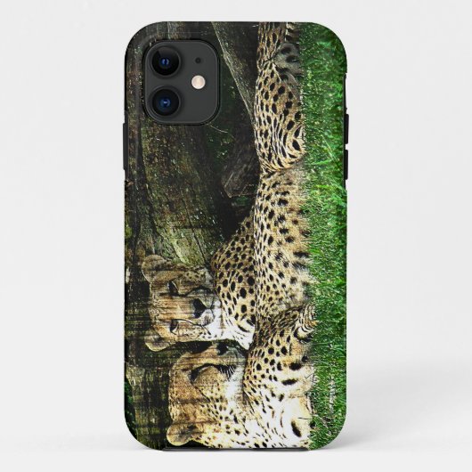 グランジなチータのLounging Case-Mate iPhoneケース (裏面)