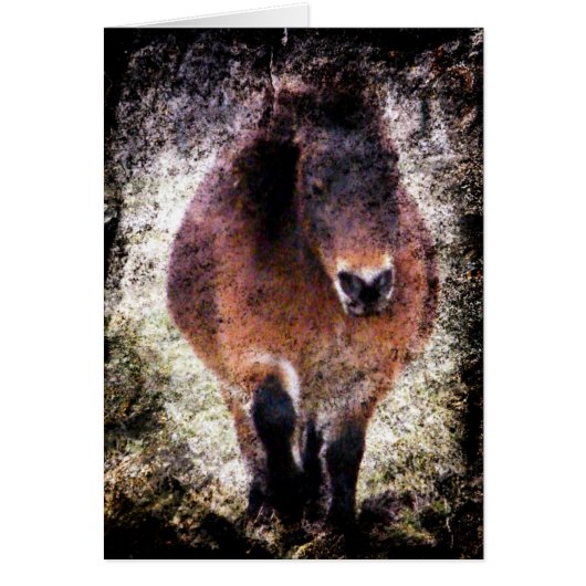 グランジな小型ロバ (正面)