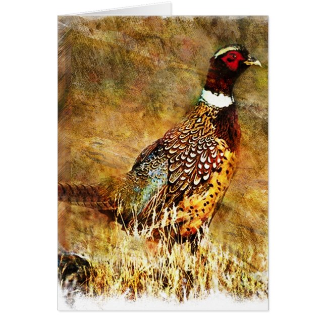 グランジなPhesant (正面)