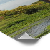 グランジディエのバオバブ・マダガスカル ポスター (角)