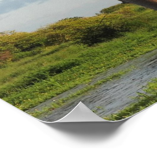 グランジディエのバオバブ・マダガスカル ポスター (角)