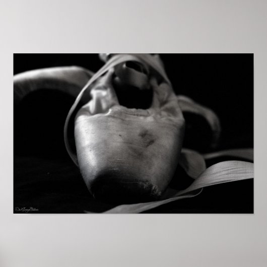 グランジBW Pointe （バレエ）シューズ ポスター (正面)