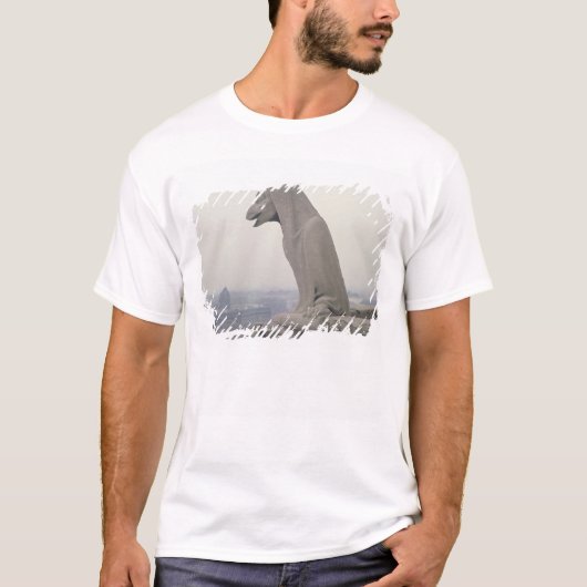 グランデの手すりのガーゴイル Tシャツ (正面)