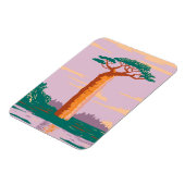 グランディアーズバオバブ マグネット (左側)