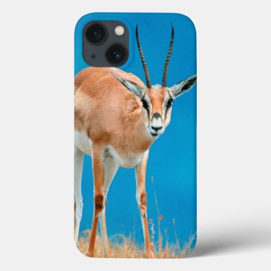 グラントのガゼル(Gazella Granti)の雌ヒツジのポートレート Case-Mate iPhoneケース (裏面)