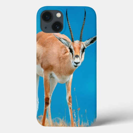 グラントのガゼル(Gazella Granti)の雌ヒツジのポートレート Case-Mate iPhoneケース (裏面)