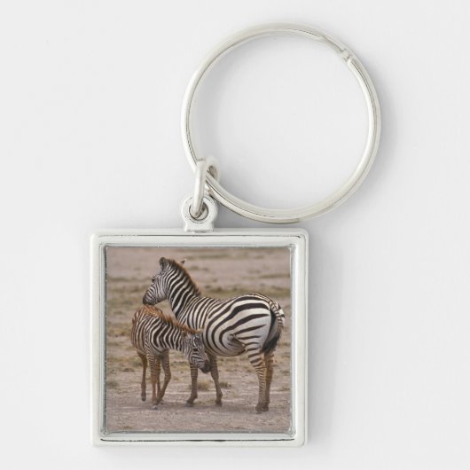 グラントのシマウマ3 キーホルダー (正面)