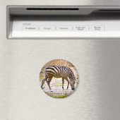 グラントのゼブラマグネット マグネット (インサイチュ (食洗機))