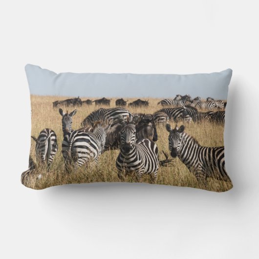 グラントのゼブラ腰枕 ランバークッション (正面)