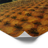 グラントウッド – ヤングコーン ポスター (角)