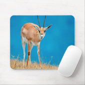 グラントガゼル (Gazella Granti) 雌の肖像 マウスパッド (マウス)