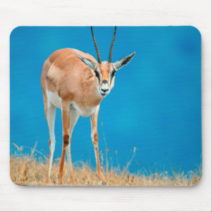 グラントガゼル (Gazella Granti) 雌の肖像 マウスパッド