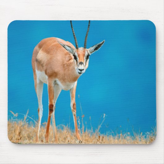 グラントガゼル (Gazella Granti) 雌の肖像 マウスパッド (正面)