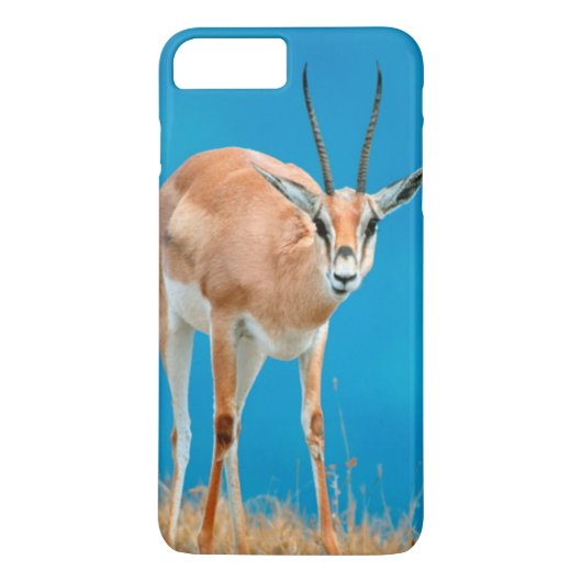 グラントガゼル (Gazella Granti) 雌の肖像 Case-Mate iPhoneケース (裏面)