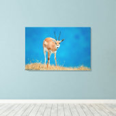 グラントズガゼル（ガゼルグランティ）エウェポートレート キャンバスプリント (インサイチュ (ウッドフロア))