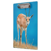 グラントズガゼル（ガゼルグランティ）エウェポートレート クリップボード (左)
