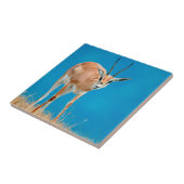 グラントズガゼル（ガゼルグランティ）エウェポートレート タイル (側面)