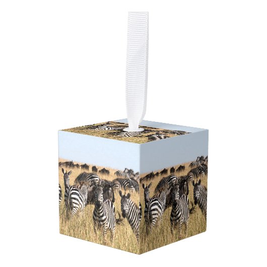 グラントズゼブラキューブオーナメント キューブオーナメント (正面アングル)