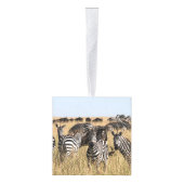 グラントズゼブラキューブオーナメント キューブオーナメント (右)