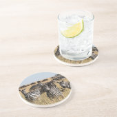 グラントズゼブラコースター コースター (側面)