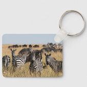 グラントズゼブラ キーホルダー (正面)