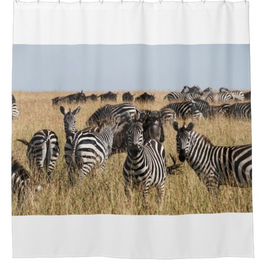 グラントズゼブラ シャワーカーテン (正面)