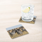 グラントズゼブラ スクエアペーパーコースター (インサイチュ)