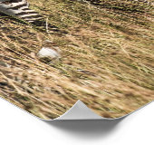 グラントズゼブラ ポスター (角)