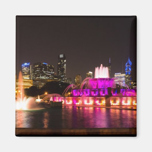 グラントパークシカゴ マグネット (正面)