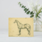 グラント将軍の戦馬 ポストカード (スタンド正面)